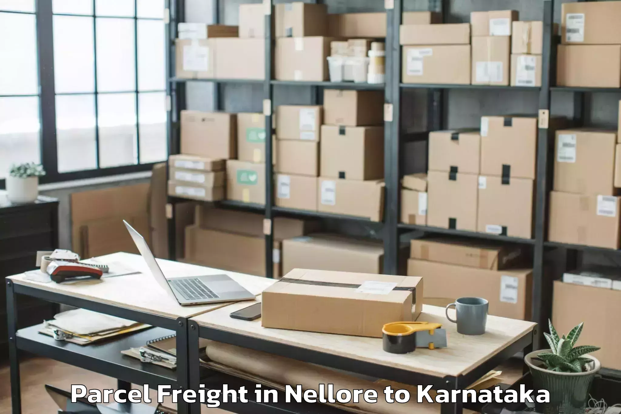 Top Nellore to Savanur Parcel Freight Available